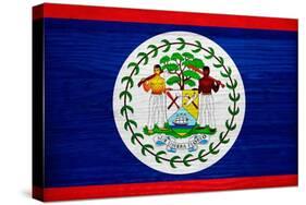 Belize Flag Design with Wood Patterning - Flags of the World Series-Philippe Hugonnard-Stretched Canvas