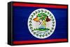 Belize Flag Design with Wood Patterning - Flags of the World Series-Philippe Hugonnard-Framed Stretched Canvas