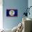 Belize Flag Design with Wood Patterning - Flags of the World Series-Philippe Hugonnard-Stretched Canvas displayed on a wall