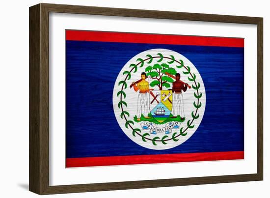 Belize Flag Design with Wood Patterning - Flags of the World Series-Philippe Hugonnard-Framed Art Print