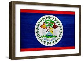 Belize Flag Design with Wood Patterning - Flags of the World Series-Philippe Hugonnard-Framed Art Print