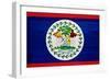 Belize Flag Design with Wood Patterning - Flags of the World Series-Philippe Hugonnard-Framed Art Print