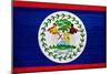 Belize Flag Design with Wood Patterning - Flags of the World Series-Philippe Hugonnard-Mounted Art Print
