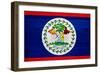 Belize Flag Design with Wood Patterning - Flags of the World Series-Philippe Hugonnard-Framed Premium Giclee Print