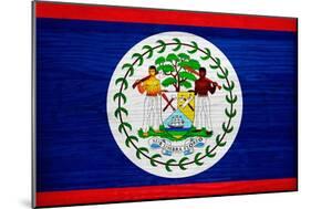 Belize Flag Design with Wood Patterning - Flags of the World Series-Philippe Hugonnard-Mounted Premium Giclee Print