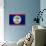 Belize Flag Design with Wood Patterning - Flags of the World Series-Philippe Hugonnard-Art Print displayed on a wall