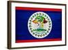 Belize Flag Design with Wood Patterning - Flags of the World Series-Philippe Hugonnard-Framed Art Print