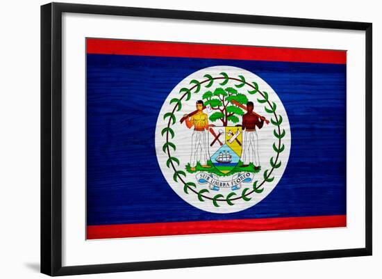 Belize Flag Design with Wood Patterning - Flags of the World Series-Philippe Hugonnard-Framed Art Print