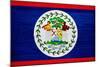 Belize Flag Design with Wood Patterning - Flags of the World Series-Philippe Hugonnard-Mounted Art Print