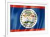 Belize Flag-daboost-Framed Art Print