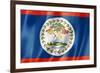 Belize Flag-daboost-Framed Art Print