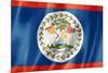 Belize Flag-daboost-Mounted Art Print