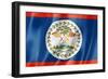 Belize Flag-daboost-Framed Premium Giclee Print