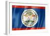 Belize Flag-daboost-Framed Premium Giclee Print