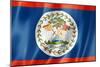 Belize Flag-daboost-Mounted Premium Giclee Print