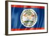 Belize Flag-daboost-Framed Art Print