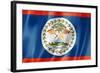 Belize Flag-daboost-Framed Art Print