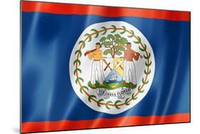 Belize Flag-daboost-Mounted Art Print