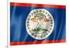 Belize Flag-daboost-Framed Art Print