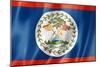 Belize Flag-daboost-Mounted Art Print