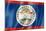 Belize Flag-daboost-Mounted Art Print