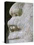 Belize, Lamanai, Mask Temple, 13 Ft. Mask of a Man in a Crocodile Headdress-Jane Sweeney-Stretched Canvas