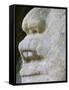 Belize, Lamanai, Mask Temple, 13 Ft. Mask of a Man in a Crocodile Headdress-Jane Sweeney-Framed Stretched Canvas