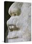 Belize, Lamanai, Mask Temple, 13 Ft. Mask of a Man in a Crocodile Headdress-Jane Sweeney-Stretched Canvas