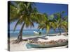 Belize, Laughing Bird Caye, Canoe Filled with Coconut Husks on Beach-Jane Sweeney-Stretched Canvas