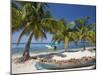 Belize, Laughing Bird Caye, Canoe Filled with Coconut Husks on Beach-Jane Sweeney-Mounted Photographic Print