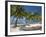 Belize, Laughing Bird Caye, Canoe Filled with Coconut Husks on Beach-Jane Sweeney-Framed Photographic Print