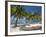 Belize, Laughing Bird Caye, Canoe Filled with Coconut Husks on Beach-Jane Sweeney-Framed Photographic Print