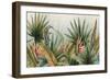 Belize Morning-Susan Jill-Framed Art Print