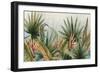 Belize Morning-Susan Jill-Framed Art Print