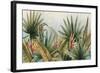 Belize Morning-Susan Jill-Framed Art Print