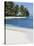 Belize, Ranguana Caye, Palm Trees and Beach-Jane Sweeney-Stretched Canvas