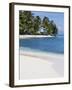 Belize, Ranguana Caye, Palm Trees and Beach-Jane Sweeney-Framed Photographic Print