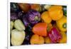 Belize, Toledo, Punta Gorda. Colorful Bell Peppers at Local Market-Cindy Miller Hopkins-Framed Photographic Print