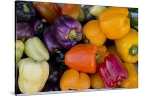 Belize, Toledo, Punta Gorda. Colorful Bell Peppers at Local Market-Cindy Miller Hopkins-Stretched Canvas
