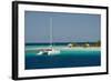 Belize, Wild Orchid Caye. Tourist Catamaran Along the Reef-Cindy Miller Hopkins-Framed Photographic Print