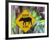 Belize Zoo near Belize City, Belize, Central America-Stuart Westmorland-Framed Photographic Print