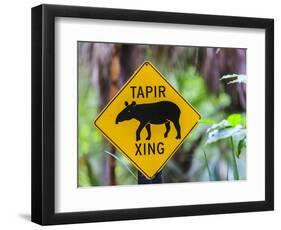 Belize Zoo near Belize City, Belize, Central America-Stuart Westmorland-Framed Photographic Print