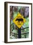 Belize Zoo near Belize City, Belize, Central America-Stuart Westmorland-Framed Photographic Print