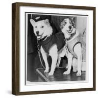 Belka and Strelka, Russian Cosmonaut Dogs, 1960-null-Framed Giclee Print