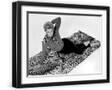 Black Frame