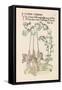 Bell Flower-Walter Crane-Framed Stretched Canvas