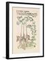 Bell Flower-Walter Crane-Framed Art Print