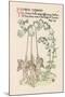 Bell Flower-Walter Crane-Mounted Art Print