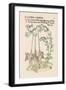 Bell Flower-Walter Crane-Framed Art Print