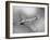 Bell P-59 Airacomet-null-Framed Photographic Print